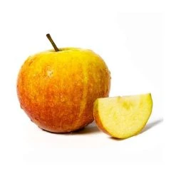 5ft 'Cox Self Fertile' Dessert Apple Tree | M26 Semi Dwarfing Rootstock | 12L Pot | By Frank P Matthews™